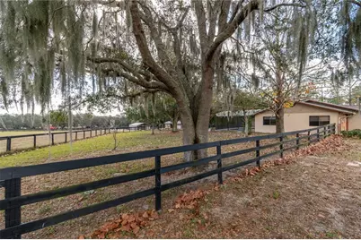 2902 Marion County Road, Weirsdale, FL 32195 - Photo 59
