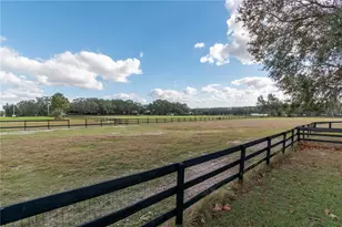 2902 Marion County Rd, Weirsdale, FL 32195 - Photo 79