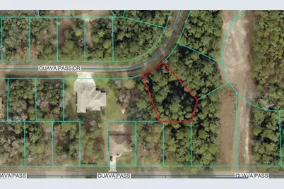 Lot 26 Guava Pass Drive, Ocklawaha, FL 32179 - Photo 1