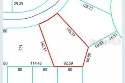 Lot 26 Guava Pass Drive, Ocklawaha, FL 32179 - Photo 1