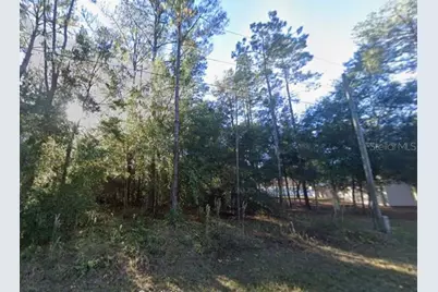 Lot 26 Guava Pass Drive, Ocklawaha, FL 32179 - Photo 7