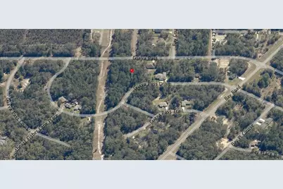 Lot 26 Guava Pass Drive, Ocklawaha, FL 32179 - Photo 7