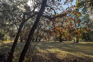 9350 SE 170th Avenue Rd, Ocklawaha, FL 32179 - Photo 37