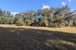 9350 SE 170th Avenue Rd, Ocklawaha, FL 32179 - Photo 45