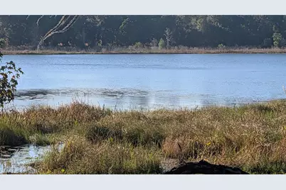 9350 SE 170th Avenue Road, Ocklawaha, FL 32179 - Photo 41