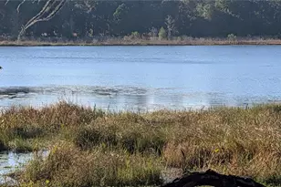 9350 SE 170th Avenue Rd, Ocklawaha, FL 32179 - Photo 41