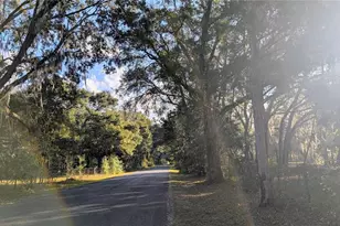 9350 SE 170th Avenue Rd, Ocklawaha, FL 32179 - Photo 51