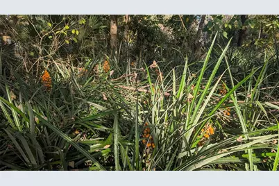 9350 SE 170th Avenue Road, Ocklawaha, FL 32179 - Photo 59