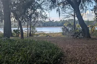 9350 SE 170th Avenue Rd, Ocklawaha, FL 32179 - Photo 57