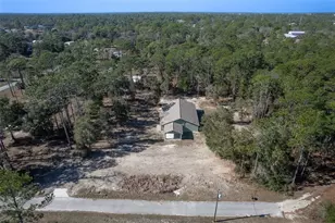 6425 Cartwrite Rd, Spring Hill, FL 34609 - Photo 71