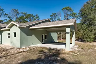 6425 Cartwrite Rd, Spring Hill, FL 34609 - Photo 59