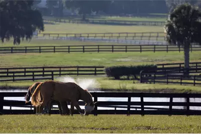 12750 W Highway 40, Ocala, FL 34481 - Photo 25