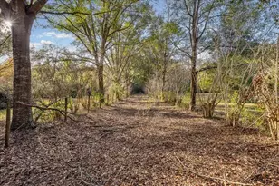 14612 NW 188 St, Alachua, FL 32615 - Photo 11