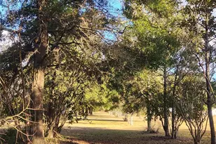 14612 NW 188 St, Alachua, FL 32615 - Photo 33