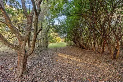 14612 NW 188th Street, Alachua, FL 32615 - Photo 5