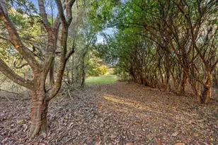 14612 NW 188 St, Alachua, FL 32615 - Photo 5