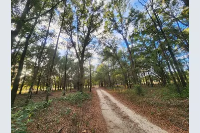 14612 NW 188th Street, Alachua, FL 32615 - Photo 39