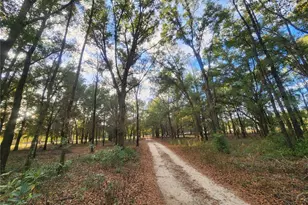 14612 NW 188 St, Alachua, FL 32615 - Photo 39