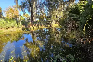 920 Cr 452A, Lake Panasoffkee, FL 33538 - Photo 53