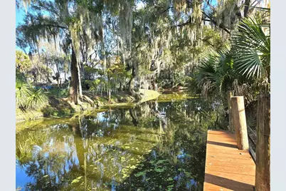 920 Cr 452A, Lake Panasoffkee, FL 33538 - Photo 9