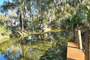 920 Cr 452A, Lake Panasoffkee, FL 33538 - Photo 9