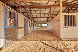 5100 W Hwy 329, Reddick, FL 32686 - Photo 39