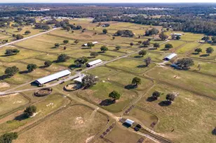 5100 W Hwy 329, Reddick, FL 32686 - Photo 7