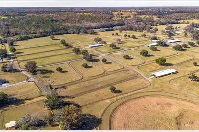 5100 W Hwy 329, Reddick, FL 32686 - Photo 13