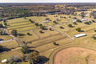 5100 W Hwy 329, Reddick, FL 32686 - Photo 13