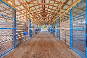 5100 W Hwy 329, Reddick, FL 32686 - Photo 33