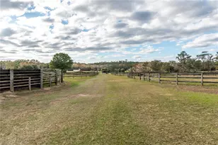 5100 W Hwy 329, Reddick, FL 32686 - Photo 47