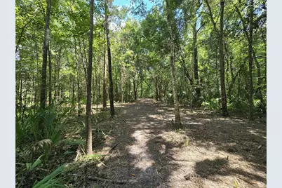 2435 N Jennifer Terrace, Inverness, FL 34453 - Photo 13