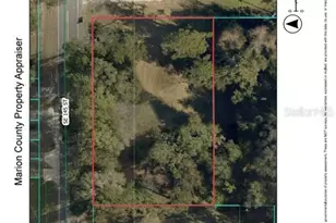 0000 SE 145 St, Summerfield, FL 34491 - Photo 1