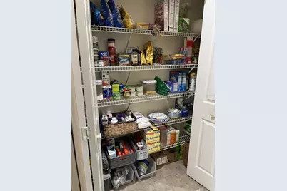 28702 Crooked Stick Court, Wesley Chapel, FL 33543 - Photo 23