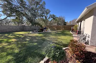 28702 Crooked Stick Ct, Wesley Chapel, FL 33543 - Photo 45