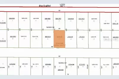 324 E Edgewood Drive, Georgetown, FL 32139 - Photo 3