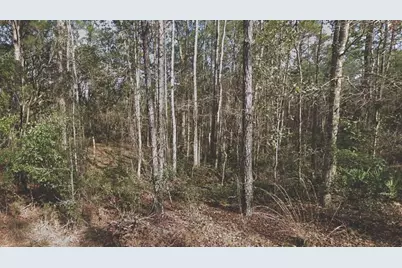 130 SE 5th Street, Palatka, FL 32177 - Photo 1