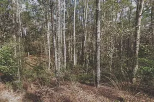 130 SE 5th St, Palatka, FL 32177 - Photo 1