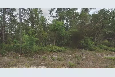 120 New York Avenue, Satsuma, FL 32189 - Photo 1