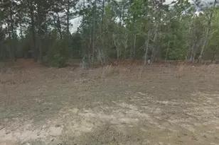 254 Brussels Ave, Interlachen, FL 32148 - Photo 1