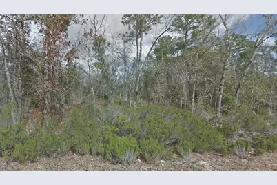 217 Cypress Street, Interlachen, FL 32148 - Photo 1