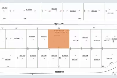 217 Cypress Street, Interlachen, FL 32148 - Photo 3