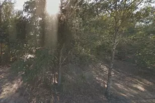 304 California Ave, Interlachen, FL 32148 - Photo 1