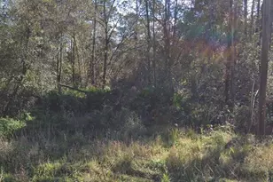 104 Donald R Blvd, Palatka, FL 32177 - Photo 1