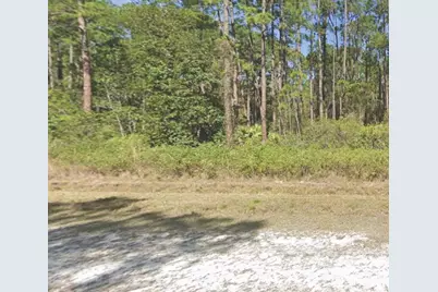 226 Terri Avenue, Georgetown, FL 32139 - Photo 1