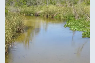 5888 SE 164th Avenue, Ocklawaha, FL 32179 - Photo 59