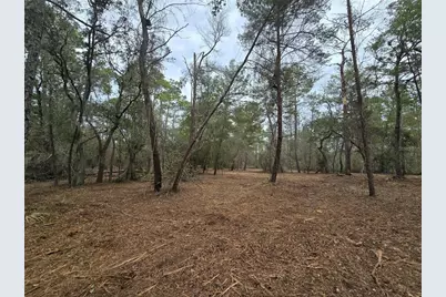 Se 152nd Ln, Umatilla, FL 32784 - Photo 7