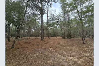 Se 152nd Ln, Umatilla, FL 32784 - Photo 11