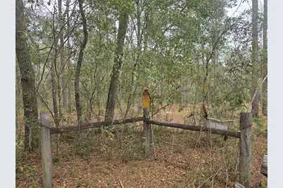 Se 152nd Ln, Umatilla, FL 32784 - Photo 17