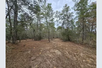 Se 152nd Ln, Umatilla, FL 32784 - Photo 9